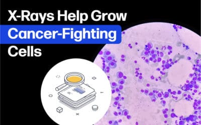 Study Finds X-Rays Can Help Grow Cancer-Fighting Cells—No Gamma Rays Needed
