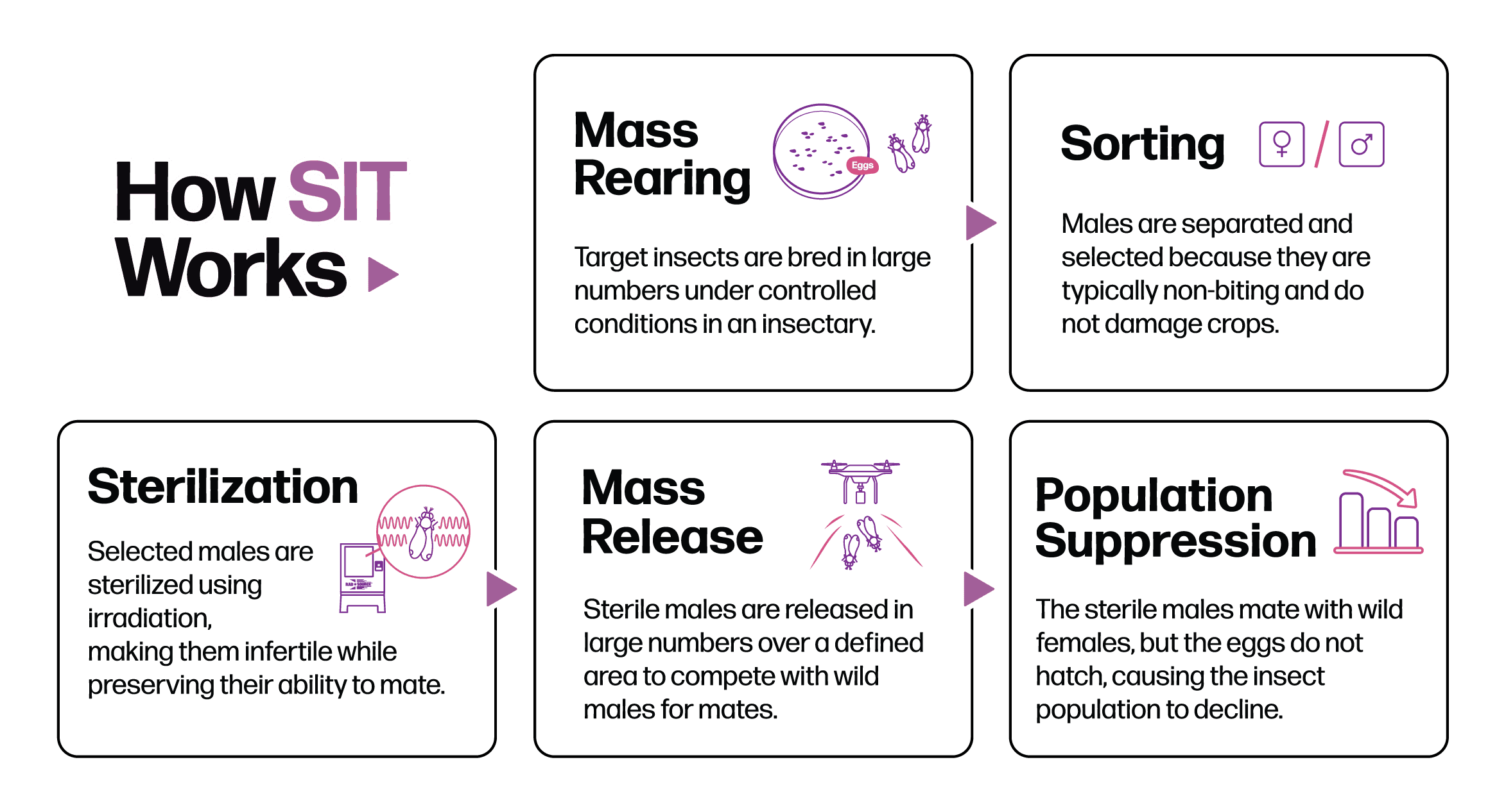 how-sit-works-2026